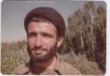 شهید سید شکر الله دریاباری «شهید دارالسیادة وشتان»